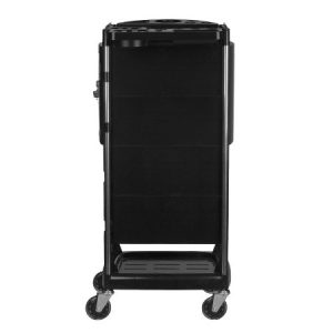 Farbwagen_fx10c_3
