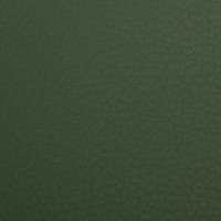Gamma_Skai_Forest_KAT_A