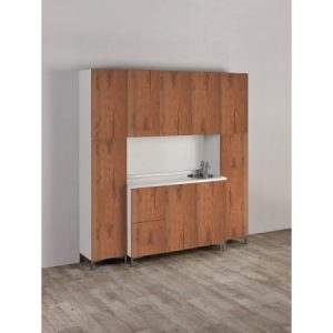 Kompakte Labor Wall System mit Holzoptik und integriertem Spülbecken