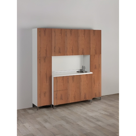 Kompakte Labor Wall System mit Holzoptik und integriertem Spülbecken