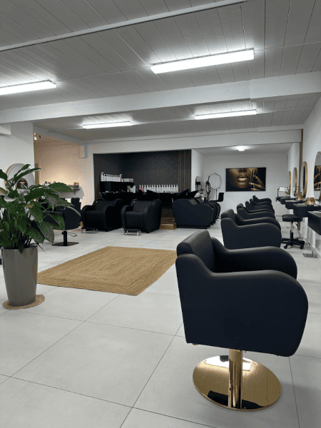 Elegance Hair and More