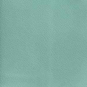 Tiffany CAT B, Gamma