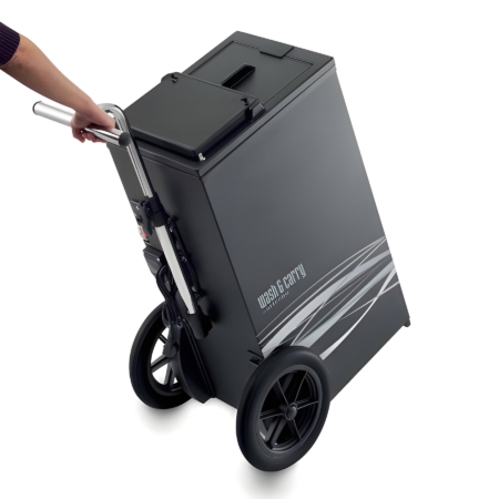 mobiles Friseurwaschbecken Wash & Carry