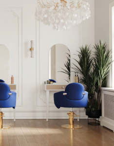Friseurstuhl Euphoria