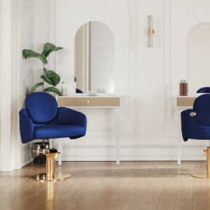 Friseurstuhl Euphoria
