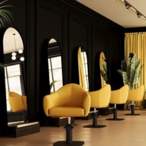 Inspo Friseurstuhl Audrey von Mila