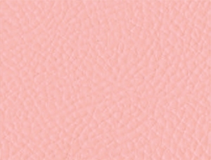 Pretty Pink 27