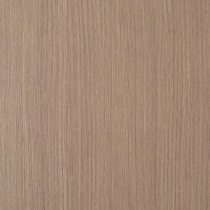 Oak 05 Salon Ambience